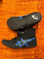 ASICS Tigers Hessen - Darmstadt Vorschau