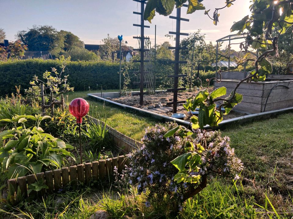 55+ Kiel Pacht Garten Abzugeben, Nachfolgend finden sie eine