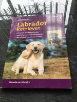 Heimtierpraxis Labrador Retriever Sachsen - Oschatz Vorschau