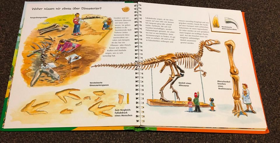 Kinderbuch Dinosaurier (MiniMaxiWissen) in Stadtlohn