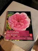 Zauberhafte alte Rosen Nordrhein-Westfalen - Dinslaken Vorschau