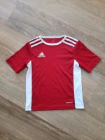 Adidas Sport- T-Shirt Mecklenburg-Vorpommern - Stralsund Vorschau