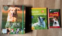 Hunde - Geschenkbox mit Buch & DVD: Rassen - Pflege - Geschichte Nürnberg (Mittelfr) - Nordstadt Vorschau