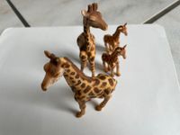 Tierfiguren Giraffen Familie Essen - Bergerhausen Vorschau