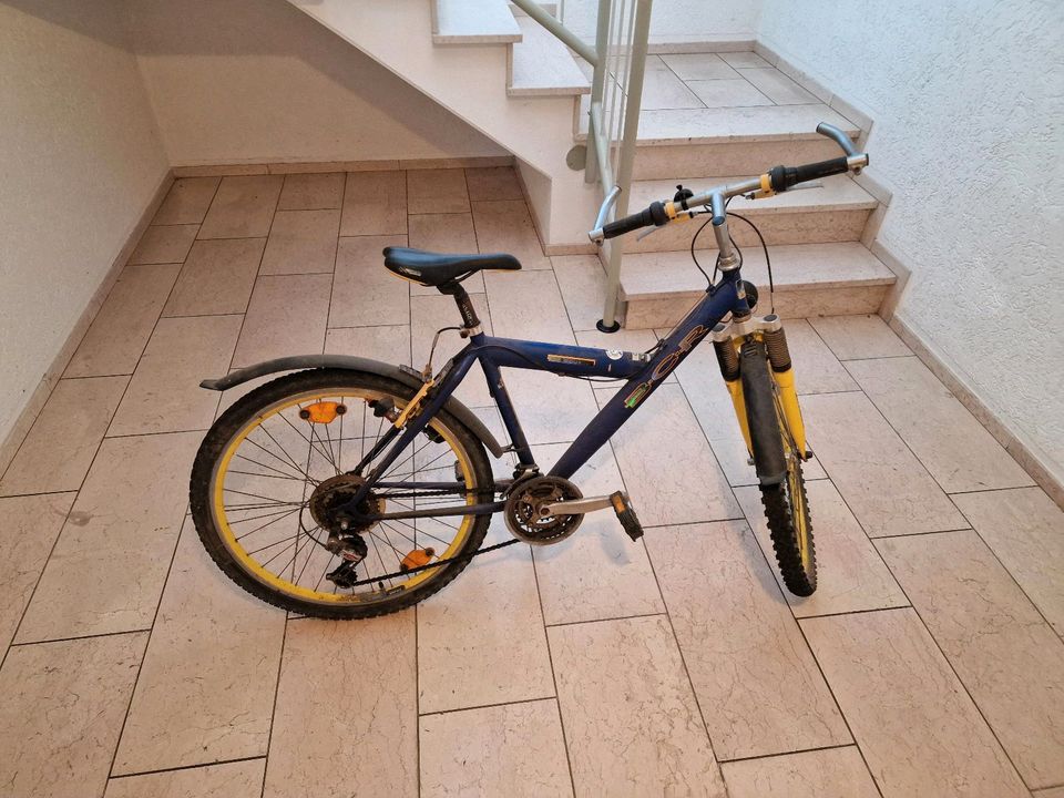 Kinderfahrrad 26 Zoll in Lübbecke 