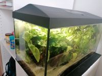 Leddy Aquarium 54 l mit Besatz, Pflanzen und Zubehör Hessen - Marburg Vorschau