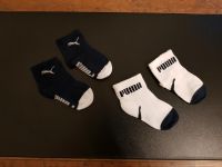 Socken Puma Baden-Württemberg - Sigmaringen Vorschau