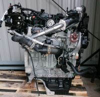 Motor Komplett Ford Transit Connect XUCC 1,5 TDCI 65Tkm Brandenburg - Küstriner Vorland Vorschau