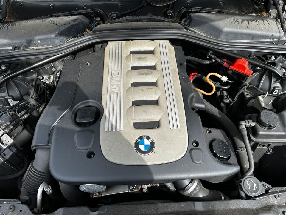 BMW 525d e61 in Senden