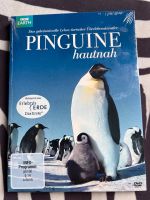 Pinguine hautnah - DVD, BBC Earth, Erlebnis Erde DasErste Saarland - Dillingen (Saar) Vorschau