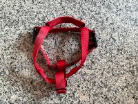 Hundegeschirr mit Handschlaufe rot - ca. 3cm breit Bayern - Neunkirchen am Sand Vorschau