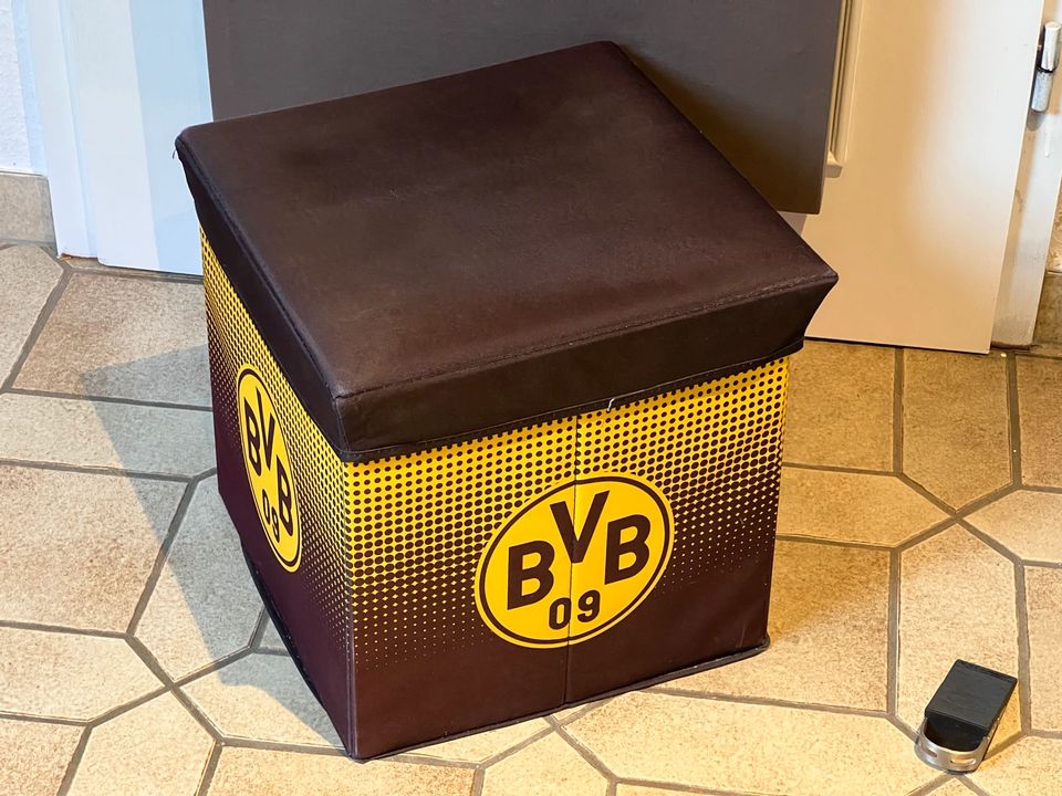 BVB Faltbox/Klappbox in Menden