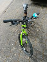 Orbea grow2 Kinderfahrrad Hessen - Willingen (Upland) Vorschau