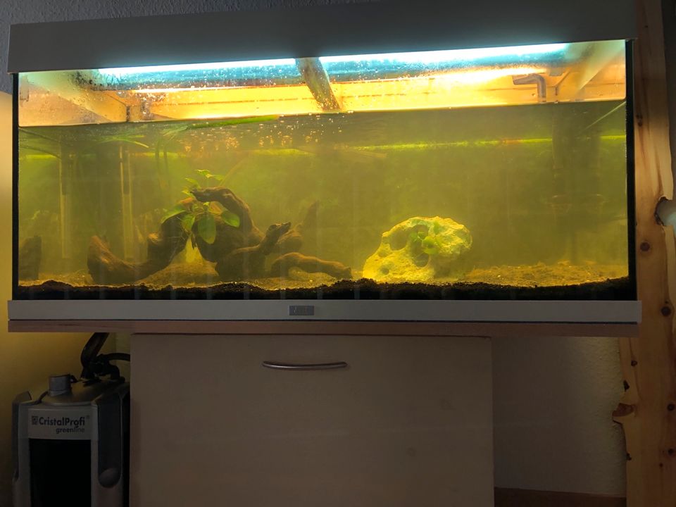 Juwel Aquarium Rio 180 weiß mit Unterschrank in Kusterdingen