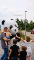 Kostümierte Glückwünsche_ Panda Animation Baden-Württemberg - Bad Krozingen Vorschau