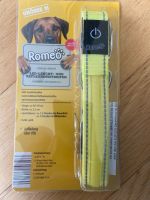 LED USB Hundehalsband mit Licht Romeo Hund Neu Gr. M Eimsbüttel - Hamburg Eidelstedt Vorschau