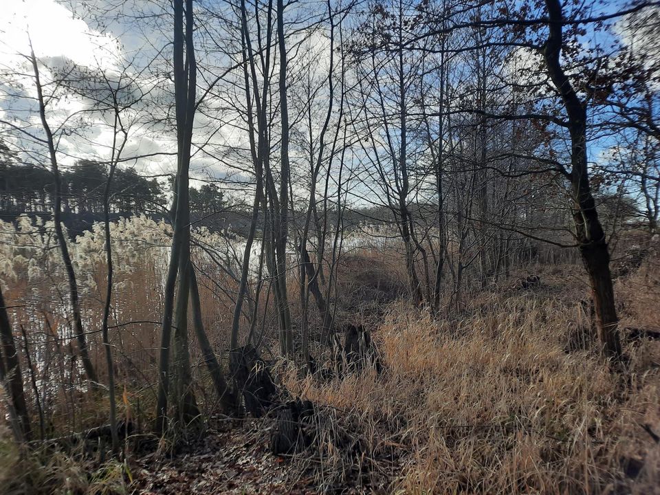 Haus in Kamern zu vermieten mit Grundstücksteilnutzung in Wust