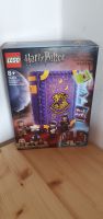 Lego 76396 Harry Potter Wahrsageunterricht NEU & OVP Rheinland-Pfalz - Nieder-Olm Vorschau