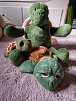 Kuscheltiere Schildkröten Family Nordrhein-Westfalen - Gelsenkirchen Vorschau