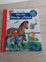 Wieso weshalb warum Pferde und Ponys Essen - Essen-Kray Vorschau