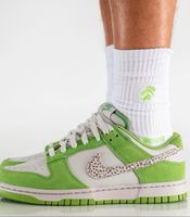 Nike Dunk AS Safari swoosh Chlorophyll Neu 44,5 und 45,5 Hessen - Liederbach Vorschau