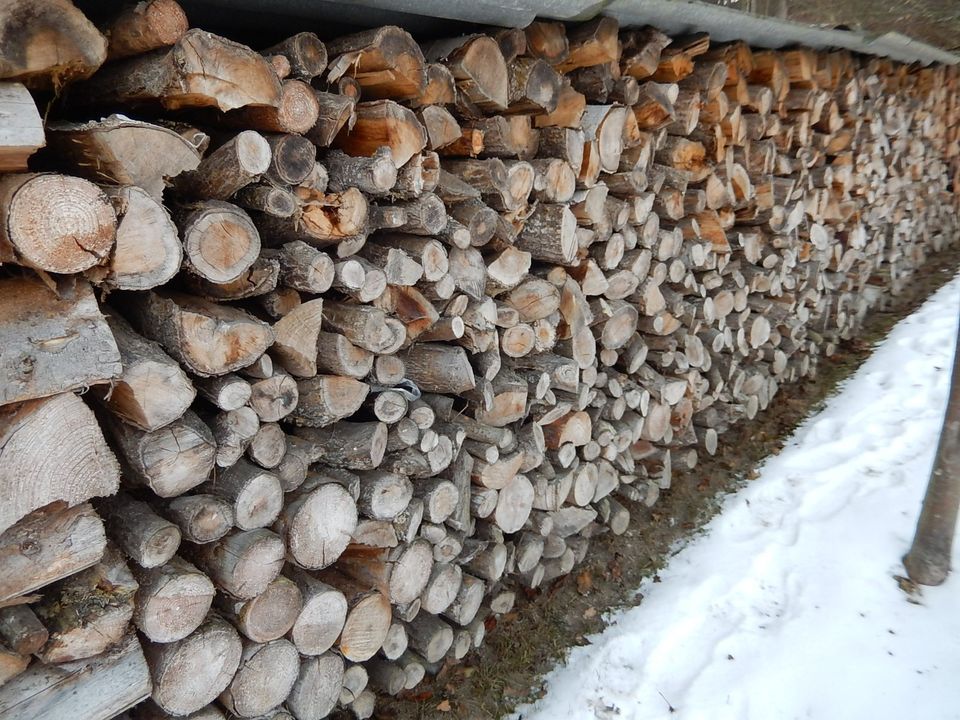 Brennholz Kaminholz Feuerholz trocken zum sofortverbrennen in Bad Blankenburg