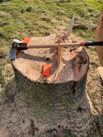 Suche Baum zum fällen schneiden für das Holz, Bäume , Baumfällung Niedersachsen - Westoverledingen Vorschau