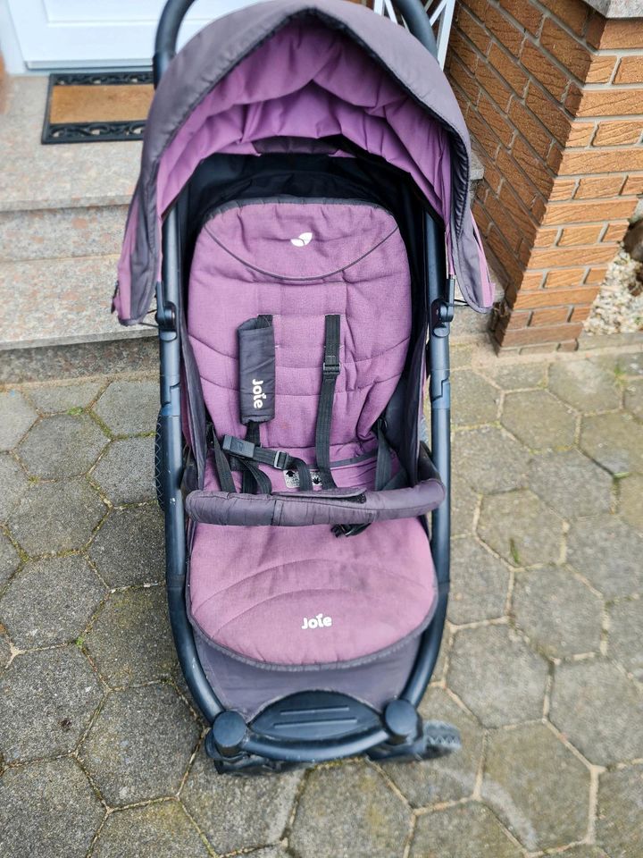 Joie Buggy lila Luftreifen in Schloß Holte-Stukenbrock