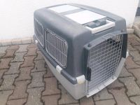 Transportbox, hundebox, katzenbox, XL Leipzig - Wiederitzsch Vorschau