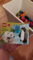 Lego Duplo Polartiere 10501 Karton OVP Tiere Zoo Meer Niedersachsen - Cremlingen Vorschau