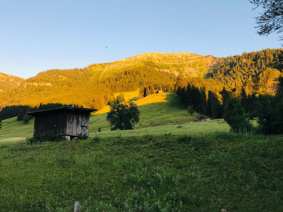 Urlaub in Bayer in Oberstaufen im Allgäu in den Alpen in Oberstaufen