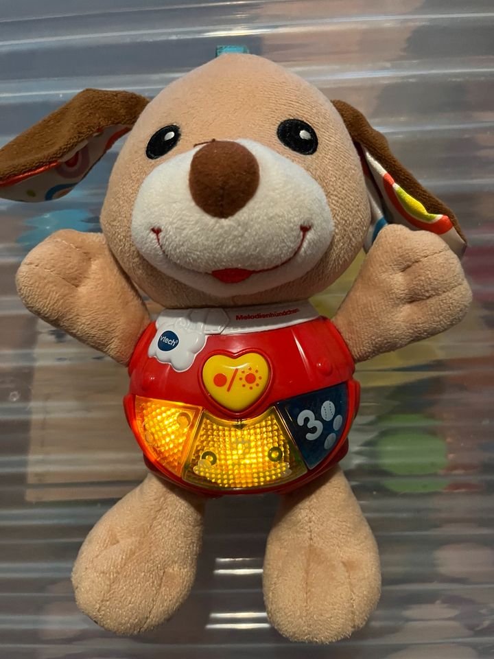 Vtech Hund mit Musik in Quierschied