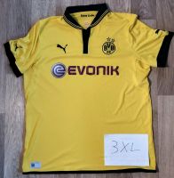 BVB09 - Trikot Saison 2012/13 Dortmund - Lütgendortmund Vorschau