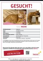 Kater NACHO vermisst Berlin - Steglitz Vorschau