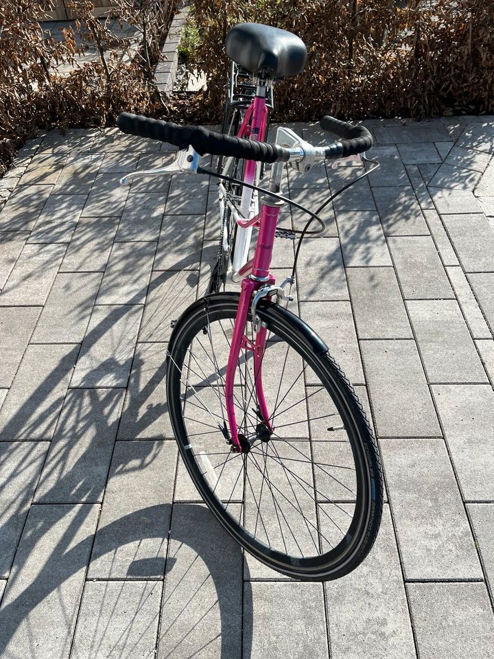 Singlespeed Damenfahrrad (Rahmenhöhe: 50/52 cm) in Feucht