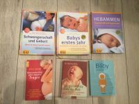 Baby Schwangerschaft Ratgeber Bücher Paket oder einzeln möglich Brandenburg - Zossen-Dabendorf Vorschau