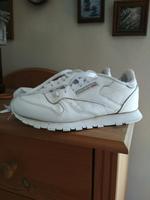 Turnschuhe (Reebok) Baden-Württemberg - Dornhan Vorschau