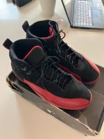 Nike Air Jordan 12 XII Flu Game 2008 EU45.5 US11.5 Vintage Hessen - Hochheim am Main Vorschau