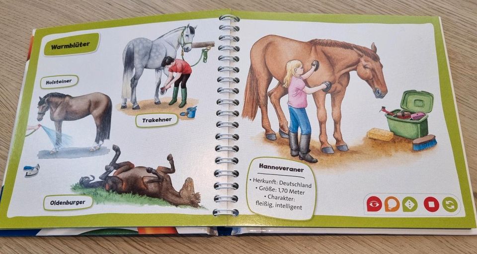 tiptoi Buch (klein) Pocket Wissen "Pferde und Ponys" in Ettlingen