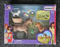 Schleich Set 42432 - HORSE CLUB Sarahs Tierbaby-Pflege Dresden - Südvorstadt-Ost Vorschau