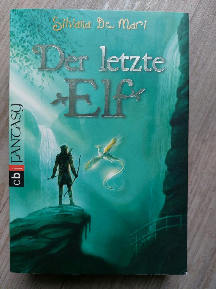 Der letzte Elf von Silvana De Mari Fantasybuch Teenager in Mötzingen