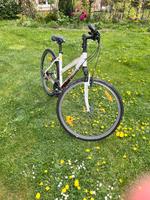 28 Zoll Trekking Rad zu verkaufen Rostock - Brinckmansdorf Vorschau