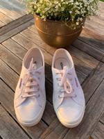 Superga Schuhe Gr.38 Weiß Schleswig-Holstein - Büdelsdorf Vorschau