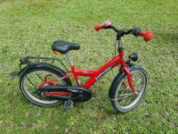 Kinder Fahrrad Pegasus /  18 Zoll /  3 Gänge Bayern - Augsburg Vorschau