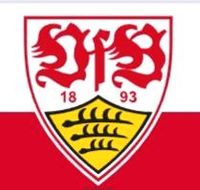 suche 2 Dauerkarten für den VfB Baden-Württemberg - Eislingen (Fils) Vorschau