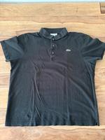 5 original Lacoste Polo-Shirts Größe 6 kurz Düsseldorf - Düsseltal Vorschau
