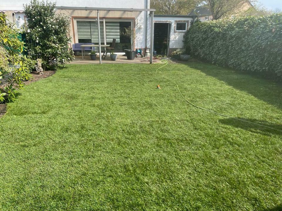 Rollrasen Gärtner Gartenarbeit in Essen