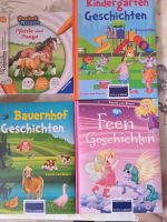 Verschiedene Bücher, Spiele oder Puzzel Niedersachsen - Elze Vorschau