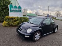 Volkswagen New Beetle Lim. 2.0 Klima Rheinland-Pfalz - Dernbach Vorschau