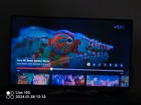 Tv Samsung 42cal Sachsen-Anhalt - Haldensleben Vorschau